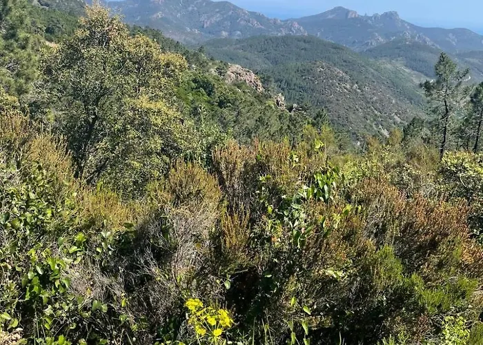 Grande Maisonette By Interhome Apartment